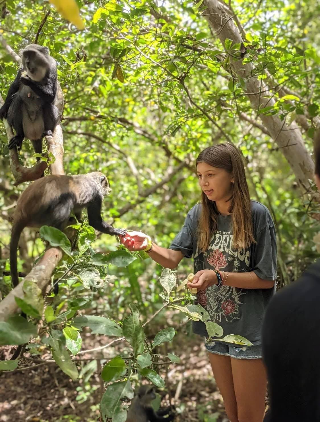 Appeal to guests 209